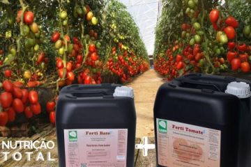 Fertilizantes para Tomates