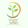 Vigor Agronegócios